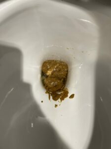 Photo de Poopa