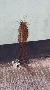 Photo de Poop art !