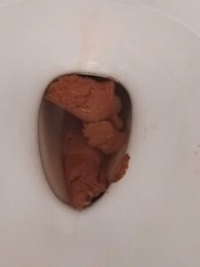 Photo de My first poop in 2025