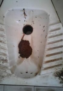 Photo de I fucking shit a pyramid dude