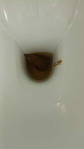 Photo de Big ol dck