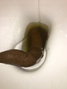 Photo de Loch Ness Monster