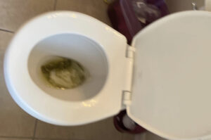 Photo de WHY IS IT GREEN?