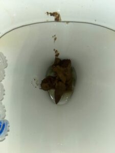 Photo de nigga poo