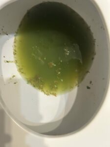 Photo de The swamp