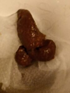 Photo de Caca de bite
