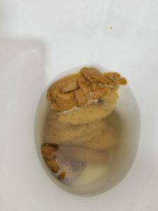 Photo de 1 day without poop