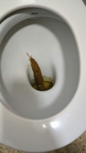 Photo de Divine poo