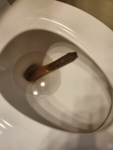 Photo de Young poopton