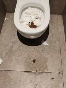 Photo de Didn&rsquo;t make it alive
