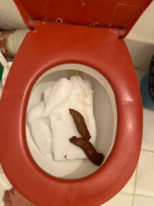 Photo de Ice Age
