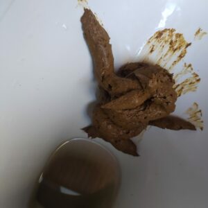 Photo de big poop