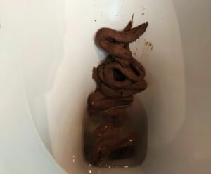 Photo de very big poop