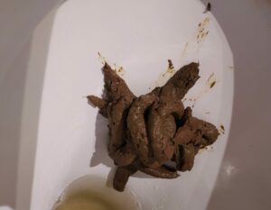 Photo de morning poop