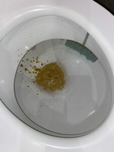 Photo de The Soup