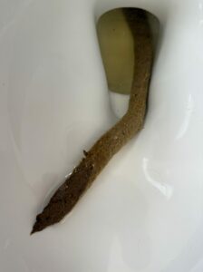 Photo de Snaker