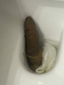 Photo de the long poop