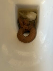 Photo de Lè Donut
