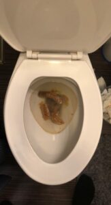 Photo de Morning dump