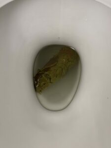 Photo de Ye olde fowl log