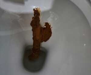 Photo de Sembra il cazzo di un nero