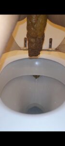 Photo de Poop