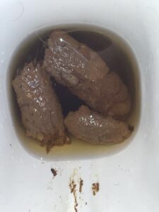 Photo de Perfetta cacca