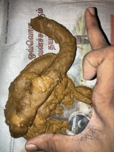 Photo de Reticulated python turd