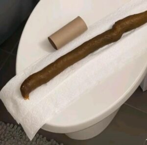 Photo de Brown Monster!