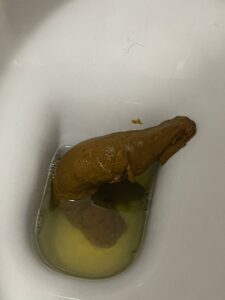 Photo de Lobster Turd