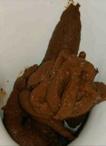 Photo de chicken with rice turds